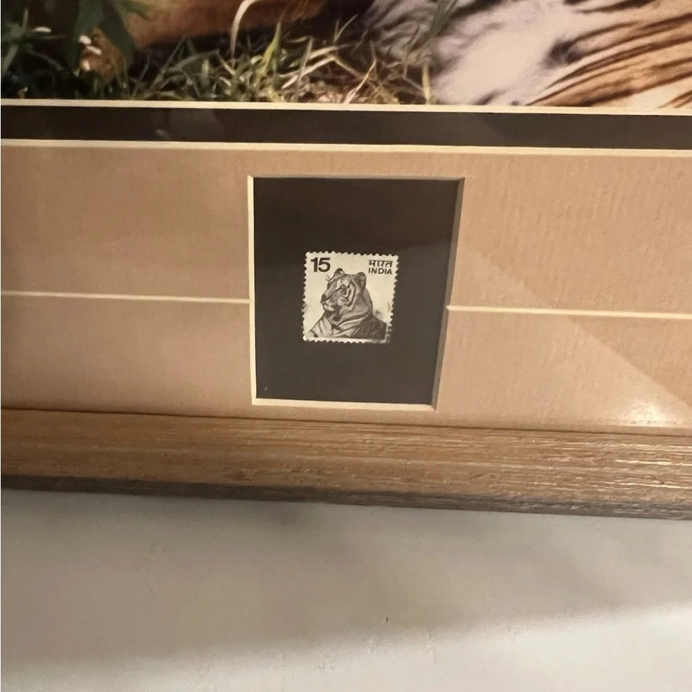 Rare Tiger Wildlife Photography Print & Stamp Signed By Walter Kuck, Framed